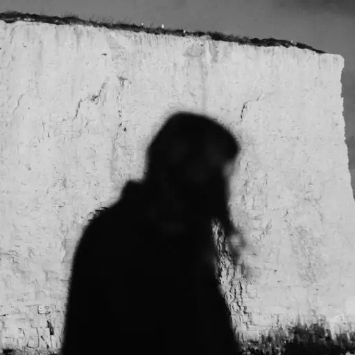 Single cover: Doing Laps