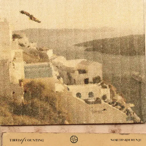 Single cover: Tired Of Counting