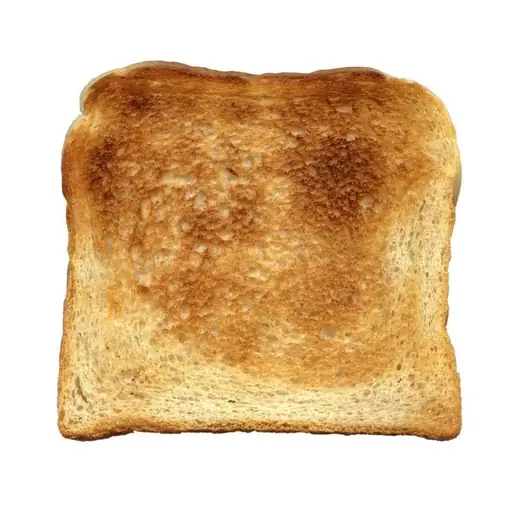toasty digital