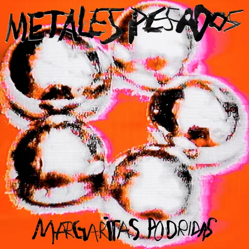 Metales Pesados