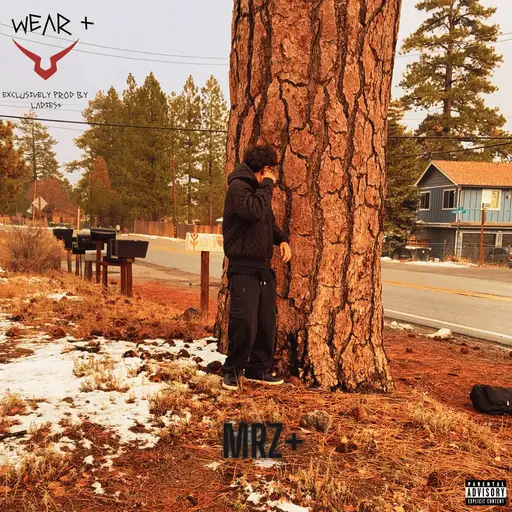 Single cover: white flag