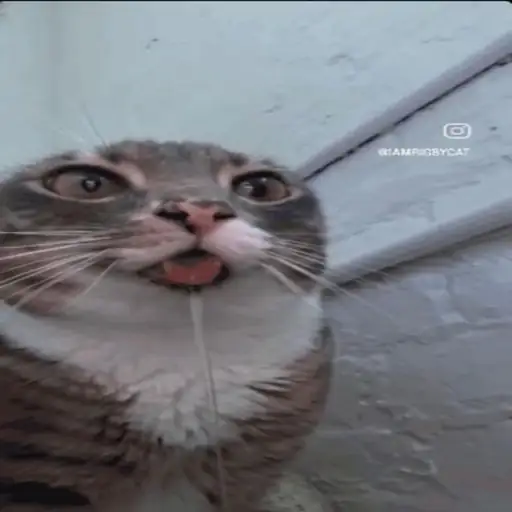 Single cover: Enough