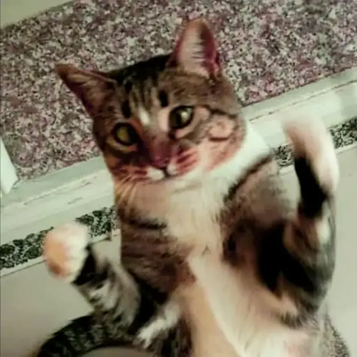 Single cover: Oh, Honey