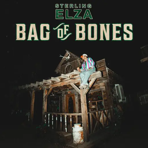 Album cover: Bag of Bones