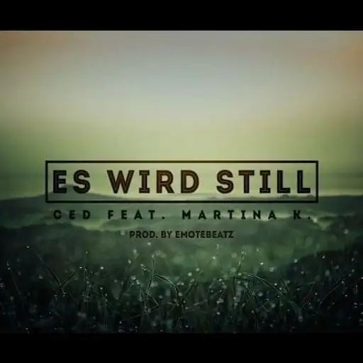 Single cover: Es wird still
