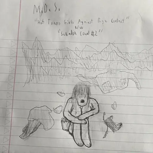 “Hot Trans Girls Against Eye Contact” b/w “Sebadoh Count #2”