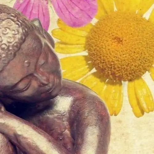 Single cover: solo dale