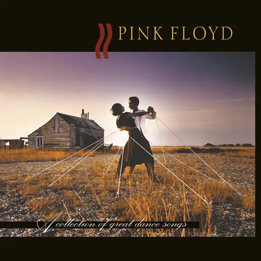 Single cover: Shine On You Crazy Diamond