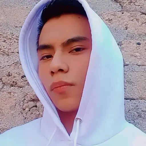 Artist: Undecided_Feelings