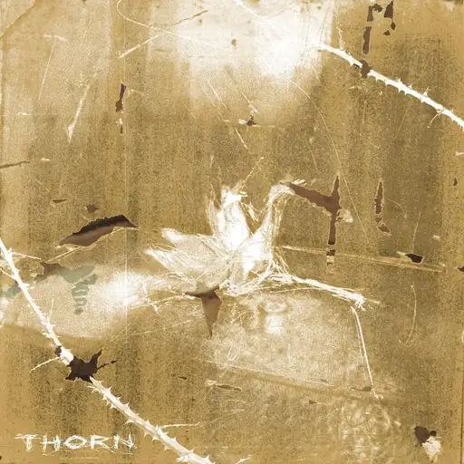 Single cover: Thorn