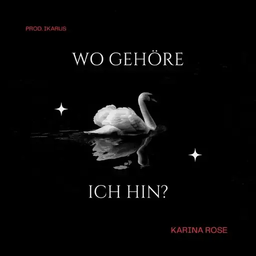 Single cover: Wo gehöre ich hin?