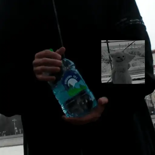 Single cover: шишкин лес