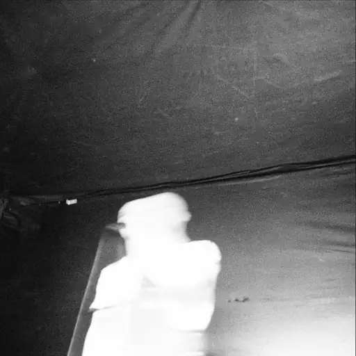 собакой сдохъ