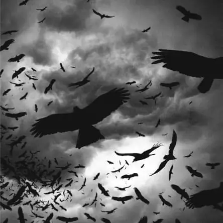 when we fall asleep we go to heaven