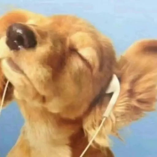 Single cover: spring based freestyle