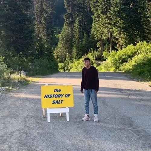 Single cover: THE HISTORY OF SALT