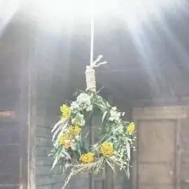 Single cover: Жижка