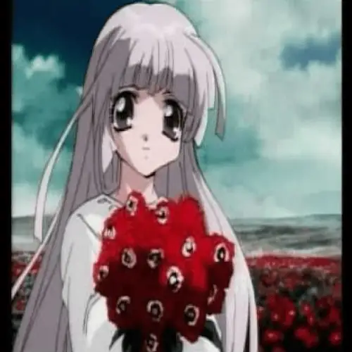 Single cover: Don’t let a price tag fool you.