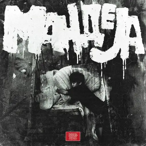 Album cover: Я всегда хотел (I’ve always wanted to)