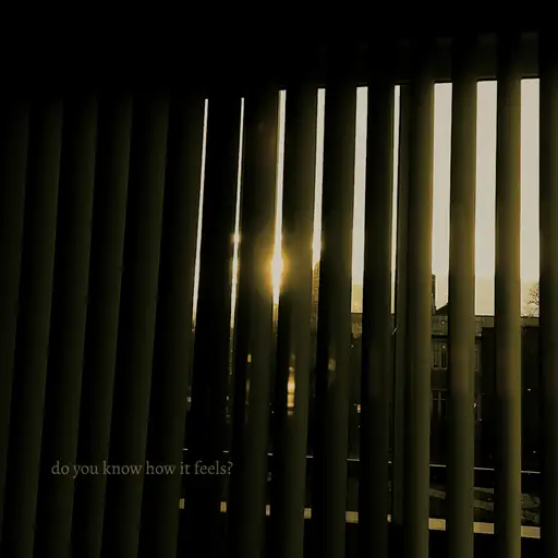 Single cover: do you know how it feels?