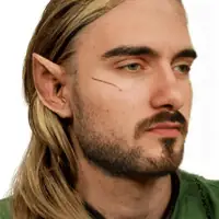 Single cover: Lutin Sournois