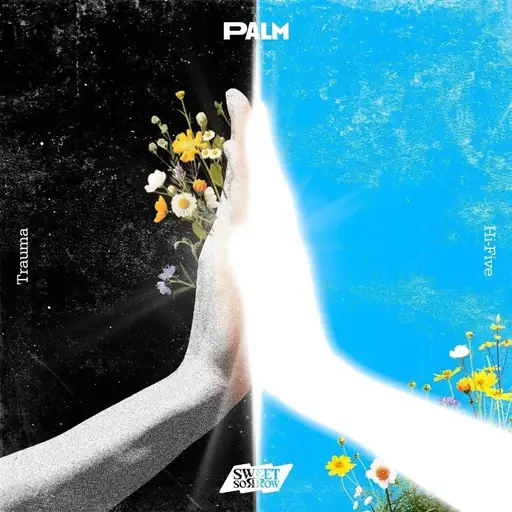 Album cover: PALM