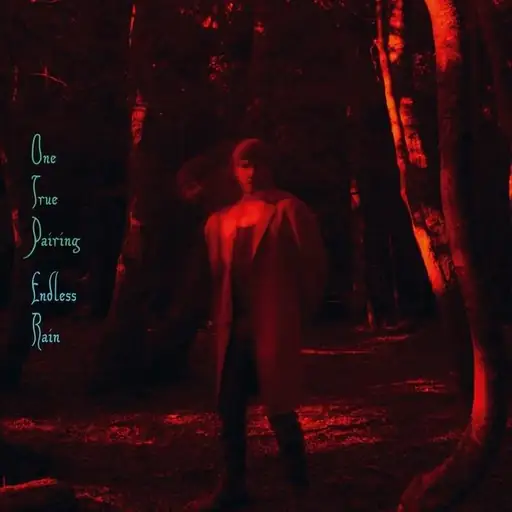 Album cover: Endless Rain