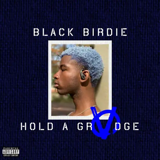 Album cover: HOLD A GRVDGE