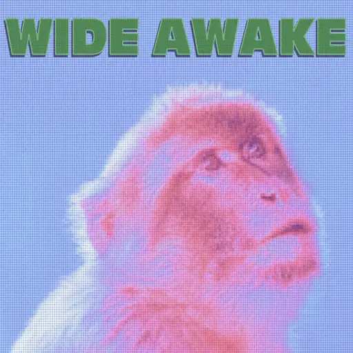 Single cover: Wide Awake