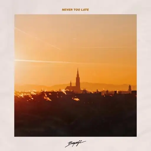 Single cover: Never Too Late