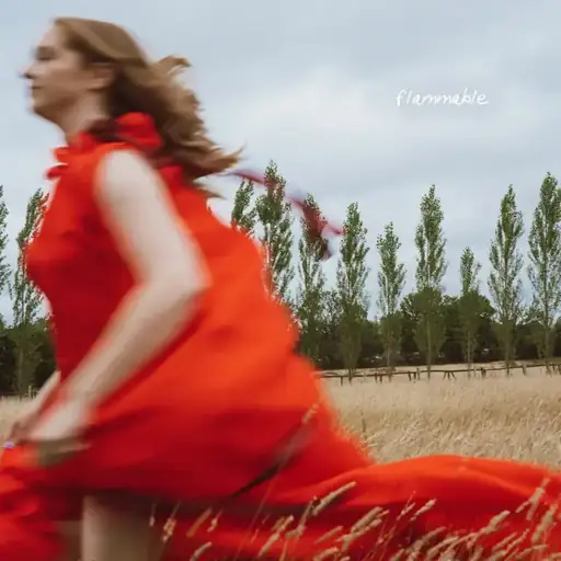 Single cover: Flammable