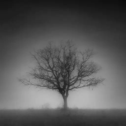 Single cover: ImAloneTonight Part 2