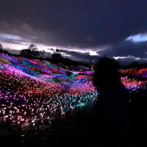 a tragic love story..