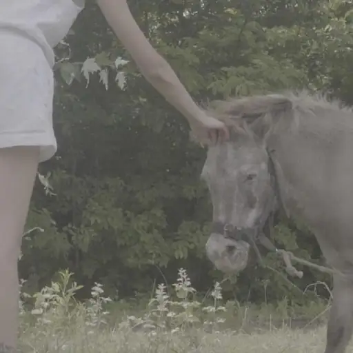 Single cover: sobriedad