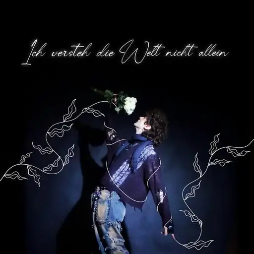 Ich versteh die  Welt nicht allein