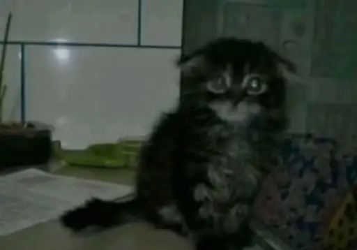 Single cover: Игрушки