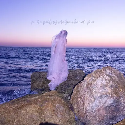 Single cover: In The Fields Of Malfunctioned Love