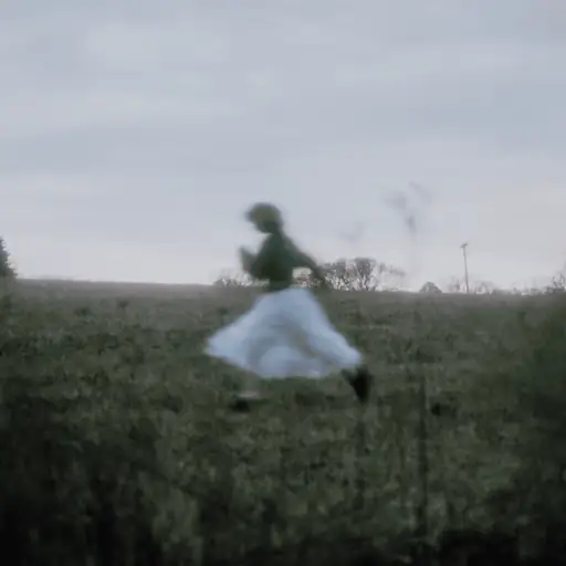 Single cover: Wild Dogs