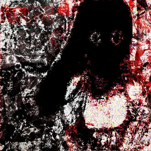 Single cover: 1641mvrder4svtvnrec