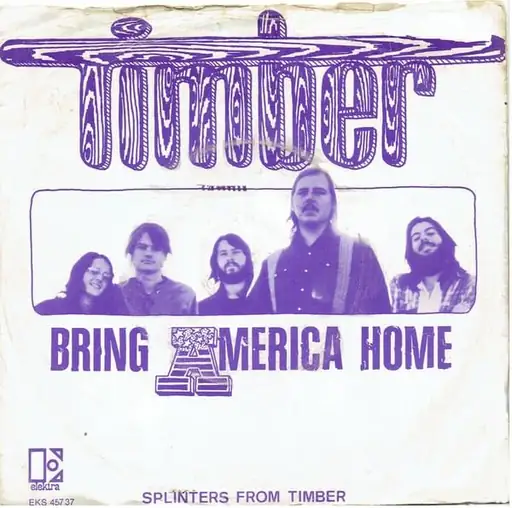 Single cover: Bring America Home