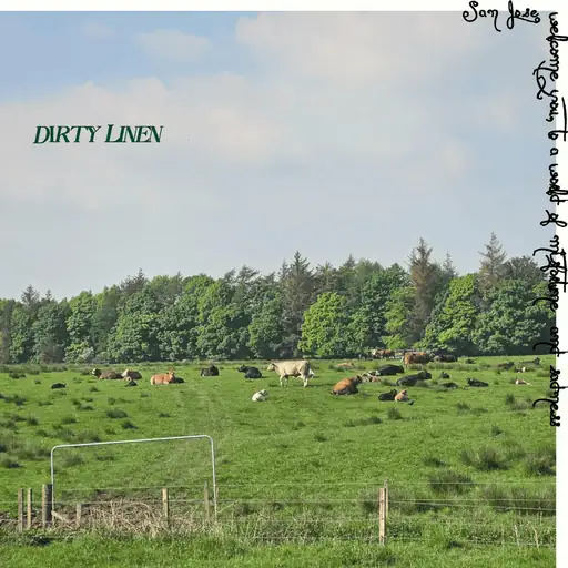 Single cover: Dirty Linen