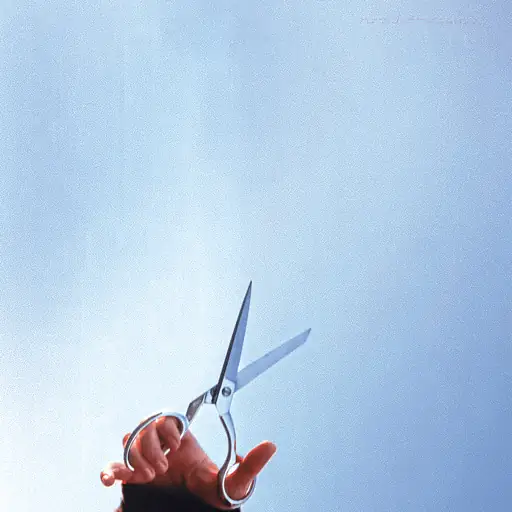 Running With Scissors