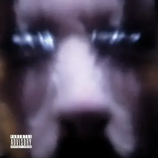 Où se pose ton regard ?