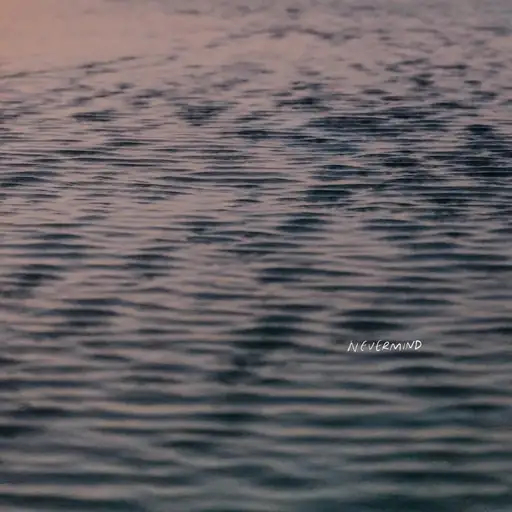 Single cover: nevermind