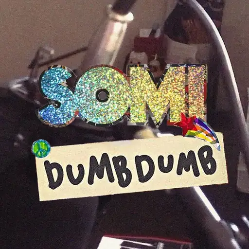 Single cover: DUMB DUMB'
