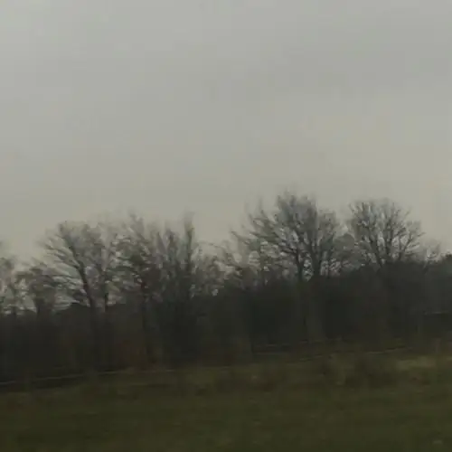 Single cover: cops & robbers