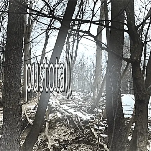 Single cover: пустота