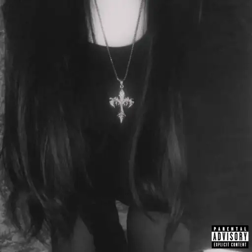 Single cover: Canadian Goose