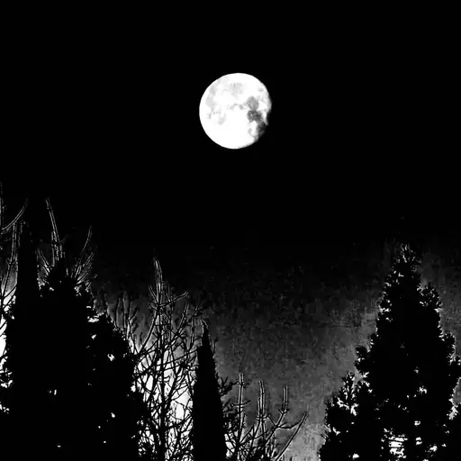 Single cover: 01100101 01101100 01101100 01101001 01101111 01110