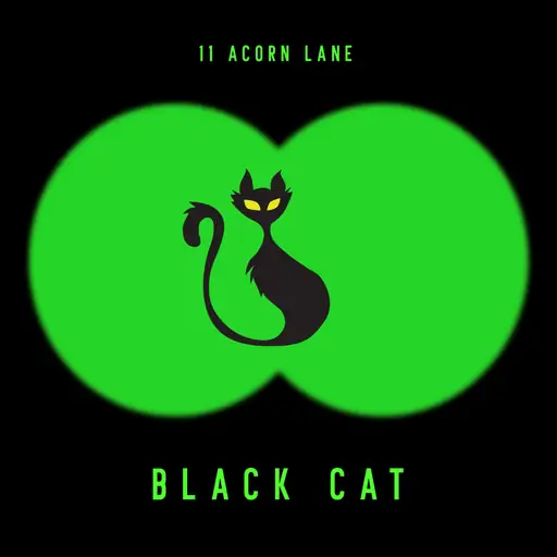 Single cover: Black Cat